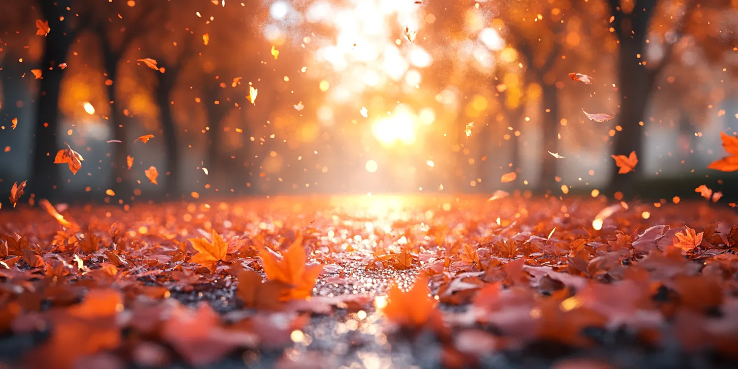 Gdzie na wczasy w grudniu?